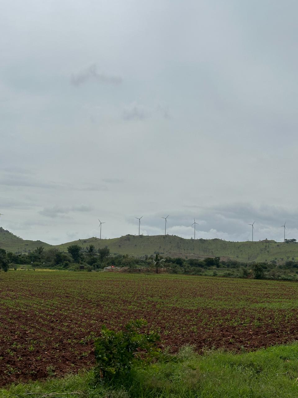 Wind turbines on green hills beyond a cultivated field
